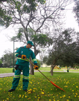 barrido de areas de interes común